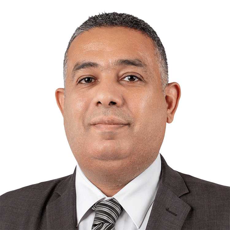 Mohamed Elsayed Ibrahim