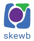 Skewb Ltd